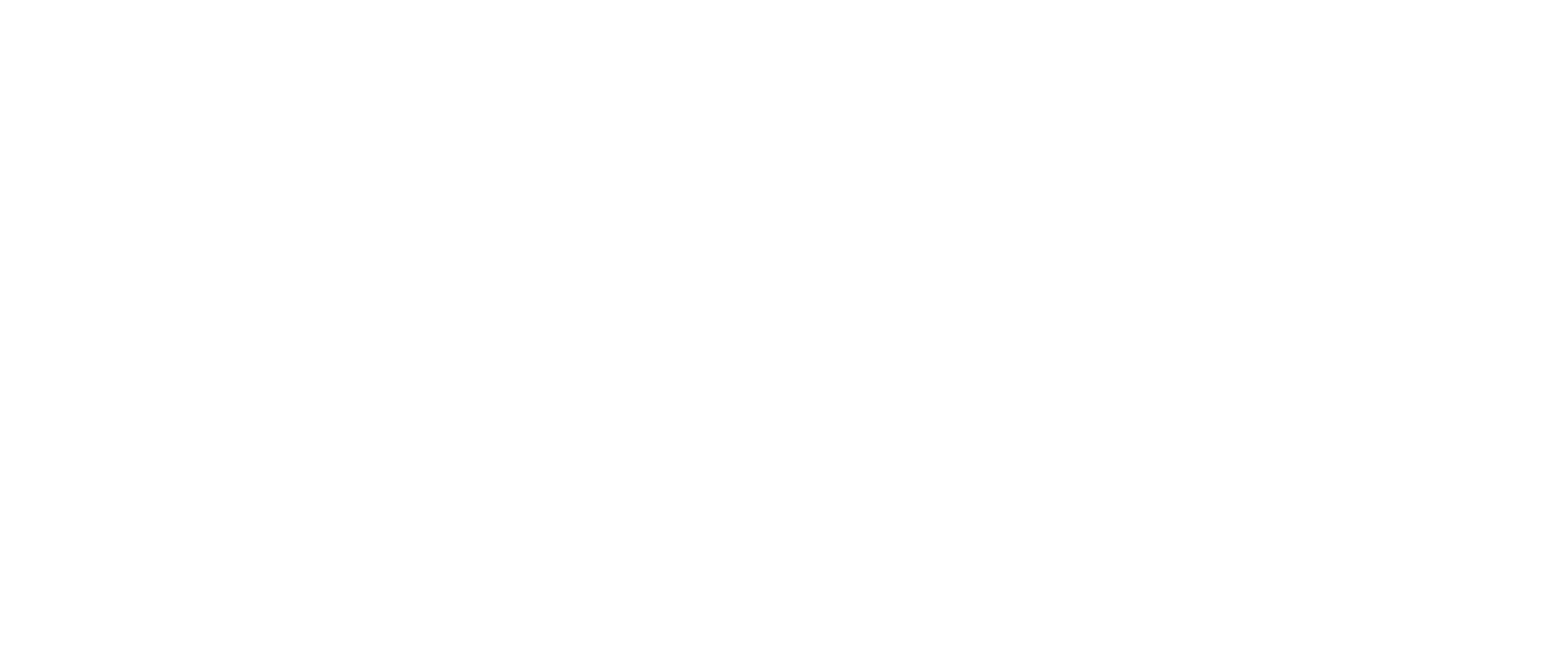 Phenix Salon Suites schererville Logo White